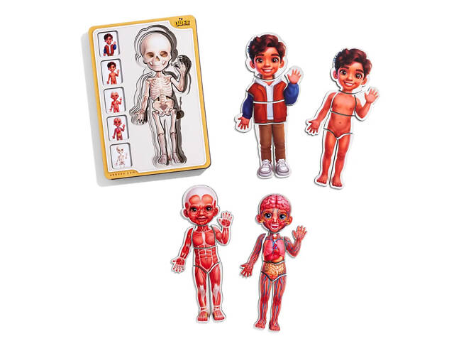 Деревянный пазл-вкладыш 'Анатомия человека - мальчик-2' (ПСД261) PSD261 строение тела