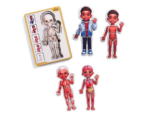 Деревянный пазл-вкладыш 'Анатомия человека - мальчик-3' (ПСД262) PSD262 строение тела