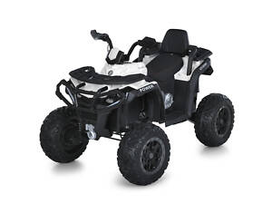 Детский электромобиль Квадроцикл M 6018EBLR-1 до 50 кг