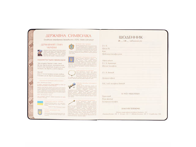 Дневник школьный твердый А5 YES Soccer 911608 40 листов - Фото 4