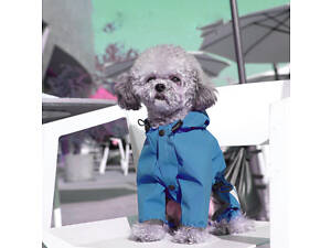 Дождевик-комбинезон для собак 11518 S синий