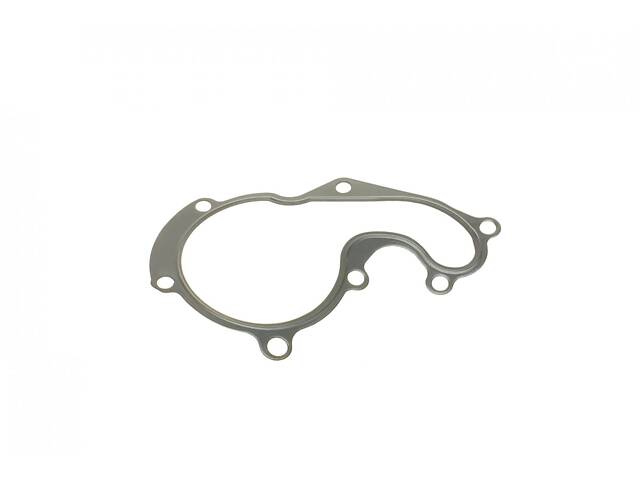 DP ES 81513 Прокладка помпи води Ford Connect 1.8TDCi 02-