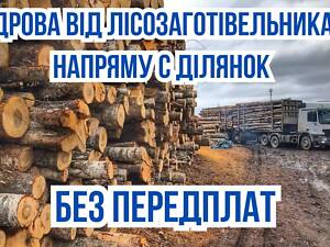 Дрова твердих і фруктових порід ОПТОВІ ціни