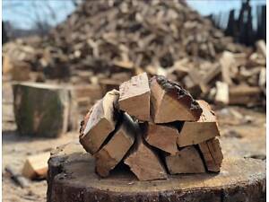 Дрова твердих порід