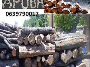 Продаж та доставка дров твердих порід