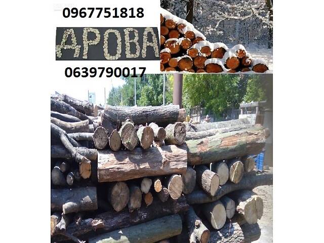 Продаж та доставка дров твердих порід - Фото 1