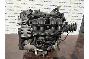 Двигатель Ford Fusion 1.6 бензин 2006-2010 (PNBA)