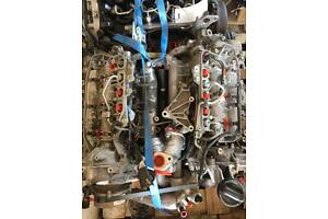Двигун Nissan Navara D40 Pathfinder 3.0 V9X, 231км