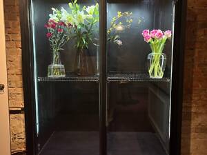 Двухдверный холодильник-витрина (для цветов, продуктов) понижена цена!