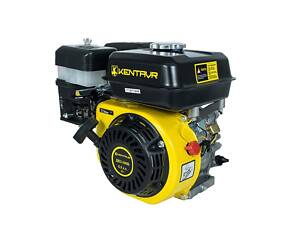 Бензиновий двигун Кентавр ДВЗ-200Б