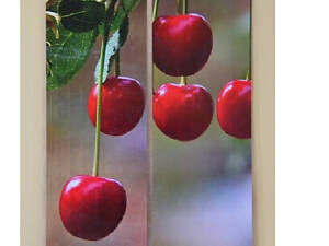 Економний настінний плівковий інфрачервоний нагрівач 'Картина подвійна. Вишні', 220 Вт.