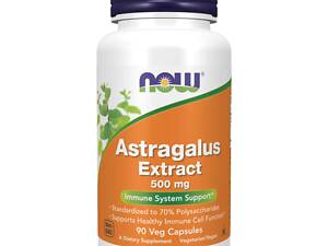 Екстракт Астрагалу Now Foods Astragalus Extract 500mg 90vcaps (1086-100-44-3043819-20)