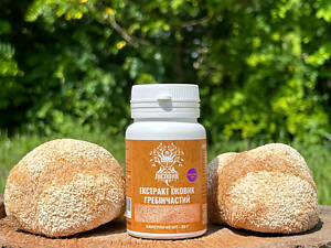 Екстракт Їжовика гребінчастого, 60 капсул по 0.5 г