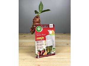 Электрический освежитель воздуха Air Wick Winter Punch - 19 мл.