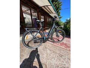 Електровелосипед E-bike Giant Dailytour E+ 2 2019