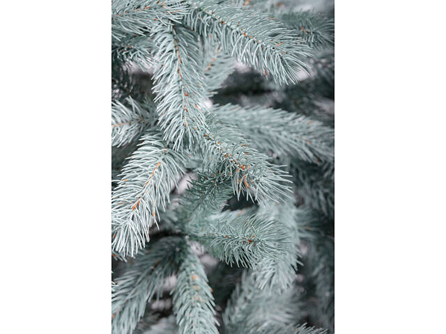 Ялинка штучна лита 2.1 м Косівська блакитна - Фото 9
