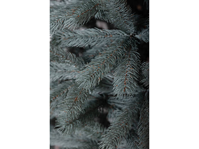 Ялинка штучна лита 2.1 м Косівська блакитна - Фото 7