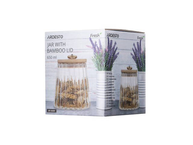 Ємність для сипучих продуктів Ardesto Fresh Vintage 650 мл (AR1365BV) - Фото 2