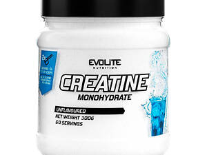 Evolite Nutrition Creatine Monohydrate (300 g)