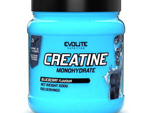 Evolite Nutrition Creatine Monohydrate (500 g, апельсин)