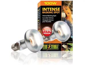 Exo Terra Лампа Hagen Exo Terra Intense Basking Spot S25/100W дневная Е27 для теплолюбивых рептилий