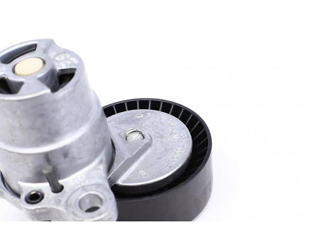 FEBI BILSTEIN 170256 Натяжитель ремня генератора Audi RS5 (F5) 17- 1.8-3.0 TFSI - Фото 2