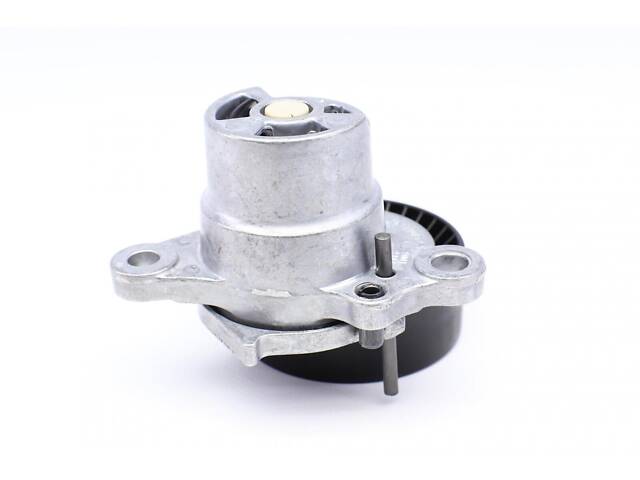 FEBI BILSTEIN 170256 Натяжитель ремня генератора Audi RS5 (F5) 17- 1.8-3.0 TFSI - Фото 3