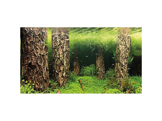 Фон для акваріума Hobby Scaping Hill/Scaping Forest 120x50 см Різнокольоровий (HB31032) - Фото 3