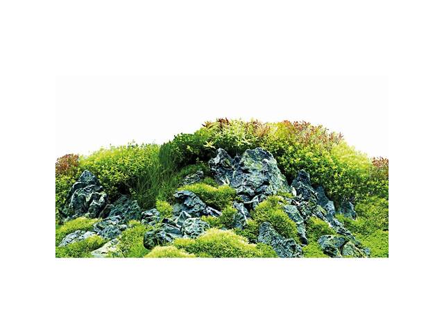 Фон для акваріума Hobby Scaping Hill/Scaping Forest 120x50 см Різнокольоровий (HB31032) - Фото 4