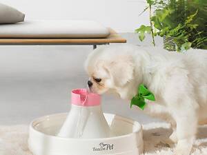 Фонтан-поїлка для котів і собак Beacon Pet 3L з фільтрацією та циркуляцією води з насиченням активним киснем