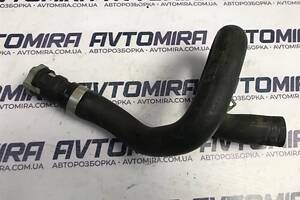 Патрубок системи охолодження Ford Focus 2 1.6TDCI 2005-2010 1384145