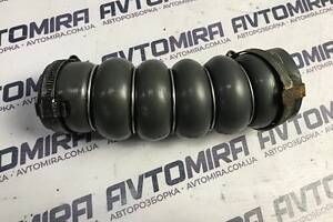 Патрубок інтеркулера Ford Focus 3 1.6TDCI 2011-2017 AV616C646HE