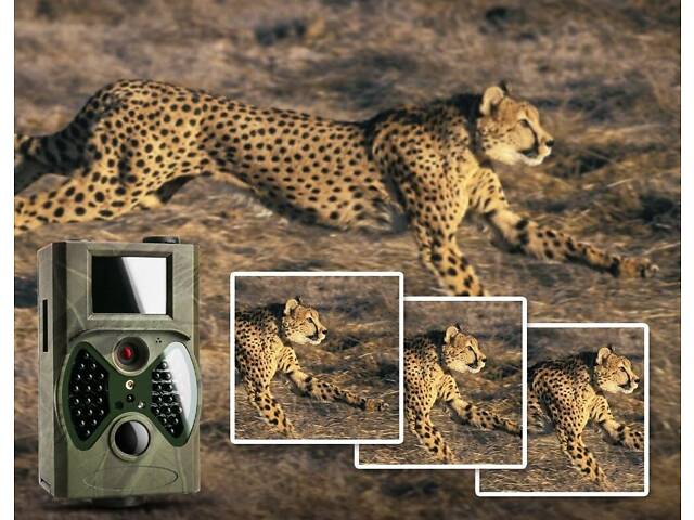 Фотоловушка Suntek HC-300А 120° 12MP IP54 (55248) - Фото 8