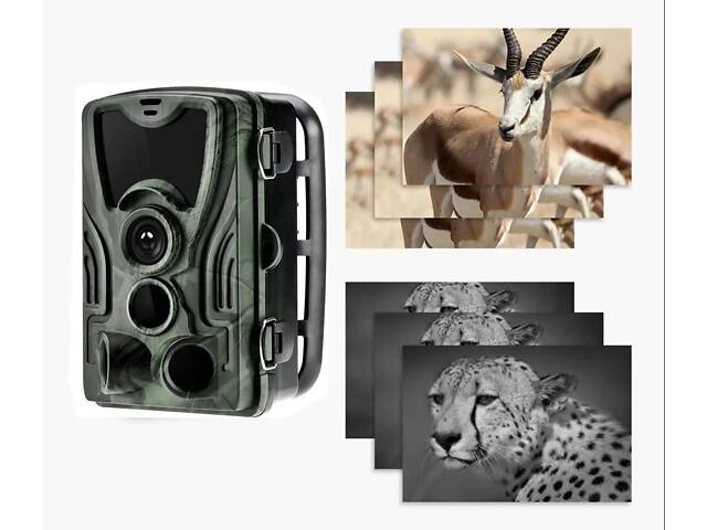 Фотоловушка Suntek HC-801A Full HD 1080P 120° 16MP IP65 (53605) - Фото 3