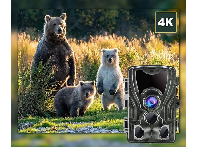 Фотоловушка Suntek Huntcam HC-801 PRO 4G 120° 36MP IP65 (55302) - Фото 4