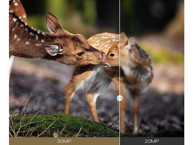 Фотоловушка Suntek Huntcam HC-801 PRO 4G 120° 36MP IP65 (55302) - Фото 5