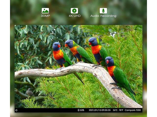 Фотоловушка Suntek Huntcam HC-801 PRO 4G 120° 36MP IP65 (55302) - Фото 6