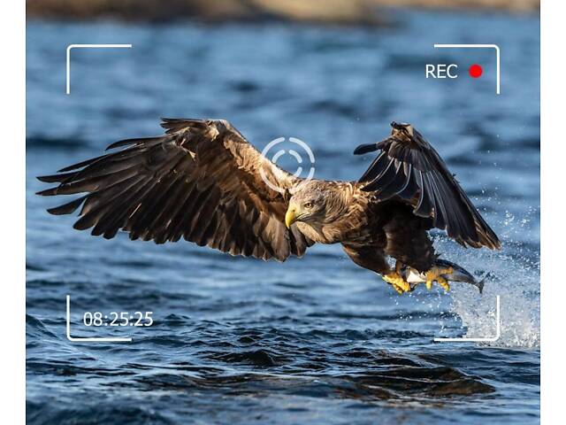 Фотоловушка Suntek Huntcam HC-940 LTE PRO 120° 36MP IP65 (55279) - Фото 7