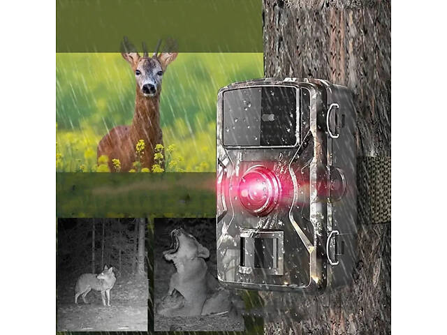 Фотопастка з датчиком руху 20 Мп XPRO HC-801A (234574327_792) - Фото 7