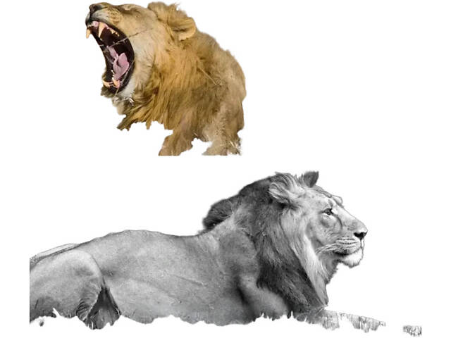 Фотопастка з датчиком руху та нічним баченням 32mp XPRO HC-801A (234570490_1222) - Фото 11