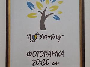 Фоторамка 20х30 см., коричневая с золотой вставкой багет 1210-В186, ОРГСТЕКЛО + ДВП