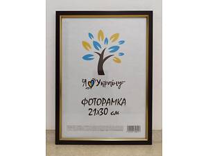 Фоторамка А4 21х30 см вишнева з золотою вставкою багет 1511-х054-2 СКЛО + КАРТОН