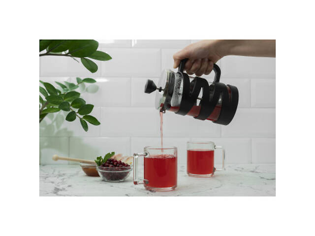 Френч-прес Ardesto Gemini 600 мл (AR1906BG) - Фото 3