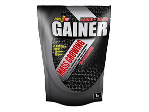 Gainer - 1000g Chocolate