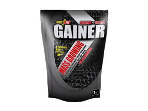 Gainer - 1000g Wild Berry