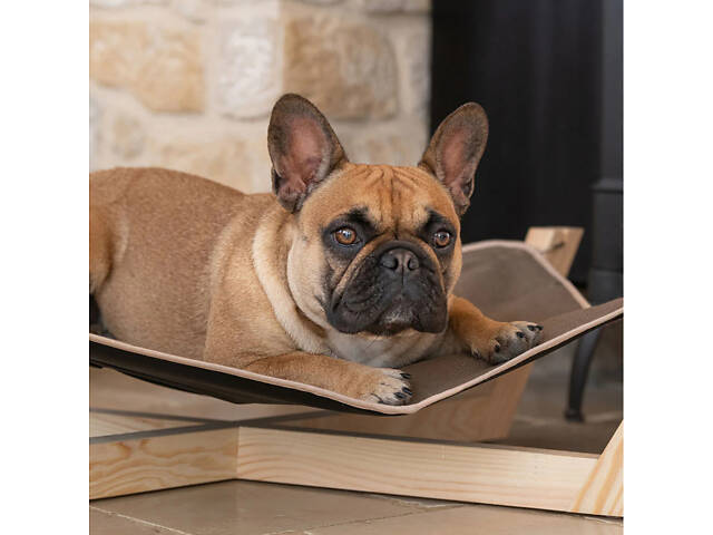 Гамак - лежанка для собак и кошек Ferplast Eden (Ферпласт Денди Еден) - Фото 3