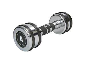Гантель хромированная Record TA-8232-4 1x4кг Silver (SK001482)