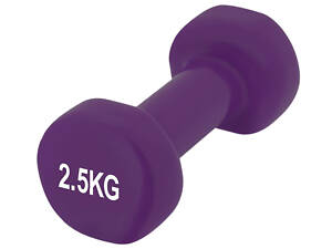 Гантель вінілова PowerPlay 4125 Achilles 2.5 кг. Фіолетова (1шт.)
