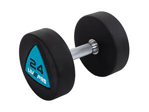 Гантелі цілісні LiveUp LP8002-24 24 кг 2 шт Чорно-сині (LP8002-24)
