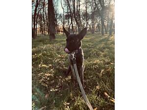 Гарна дівчинка шукає собі сімʼю